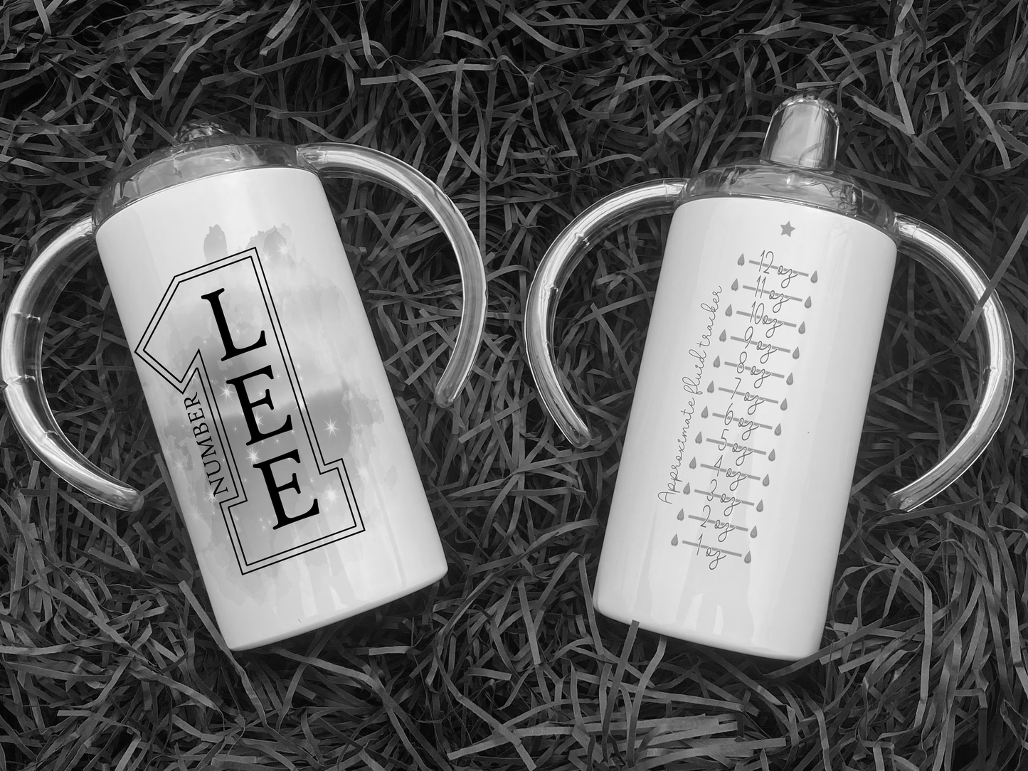 Printed Tumbler with clear plastic Two handled Sippy cup lid. Great for adults with disabilities and kids alike